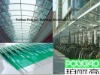 EXTRUSION POLYCARBONATE SHEET