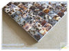 Square tiger's speckle mother of pearl seashell mosaic wall tile