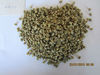 100%Arabica green coffee beans hot sell! 2011 new crop