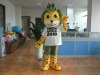 World Cup mascot costume