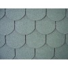 Scale Type Waterproof Bitumen roofing shingles