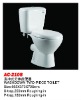 Ceramic Washdown Two Piece Toilet Water Closet Series