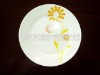 Porcelain dinner plates