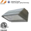 High power Die-casting aluminum wall tunnel lighting fixture