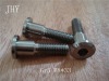 titanium screw----Hexagon socket thin head cap screws