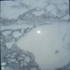 Arabescato white marble stone