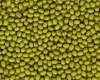 Chinese New Crop Green mung bean