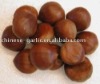 chestnut