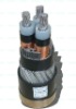 XLPE insulate armoured cable