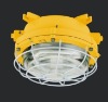 Explosion-proof fluorescent light 22/32W