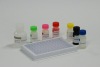 HBsAg/HBsAb/HBeAg/HBeAb/HBcAb ELISA/EIA Kit