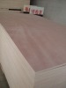 okoume faced plywood with 18 mm or 5.5mm thickness