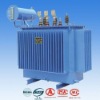 22kV / 24kV Oil Immersed Power Transformer