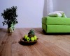 water resistant indoor household laminate flooring/floor 2