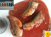 Chinese wholeslae canned mackerel in tomato sauce