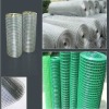 Hot dip&electric galvanized welded mesh(manufacturer)