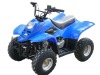 110cc/90cc/70cc/50cc ATV, Kids ATV, Raptor ATV(XA110-2)