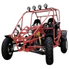 800CC 2-seater popular Go Kart