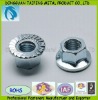 Stainless Steel Hexagon Flange Nuts