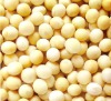 soybean lecithin/8002-43-5