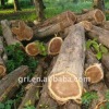 Hight Quality Teak Logs