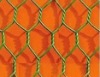 hot sell plastic coated chicken wire mesh