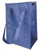 zipper closure cooler bag(YT-CB01)