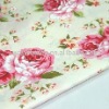 Polyester and Cotton Printed Sofa Cloth Fabric