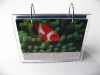 Lenticular Desk Calendar