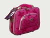 2012 fashionable design of briefcase