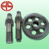 spur gear