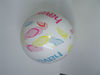 plastic beach ball for promotion