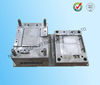 Customized Plastic Injection Case Moulding Moldels