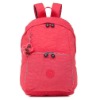 2012 New deisgn backpack