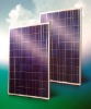 Polycrystalline Solar Panel type BLD-54-6P 170-230W