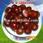 Chinese New Crop Chestnut