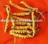 cordyceps mycelium powder