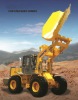 LTMA 5 tons Side Dumping Wheel Loader