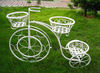 2012 new design garden wrought iron flower pot and planter holders