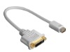 Mini DVI DVI Converter