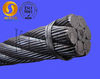 Ungalvanized Steel Wire Rope 6*36WS+IWRC