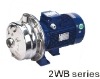 Twin Impeller Stainless Steel Centrifugal Pump