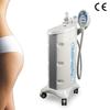 HOT in Europe!fat freezing removal coolscupting- Cryolipolysis cryotheory