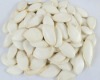 snow white pumpkin seed