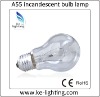 A55 incandescent bulb lamp