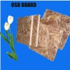 Oriented strand board